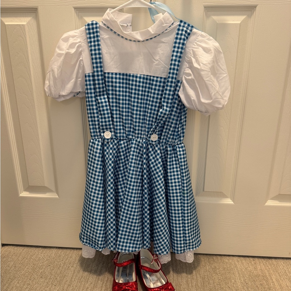 Classic Blue Gingham Kids Costume Dress with White Blouse